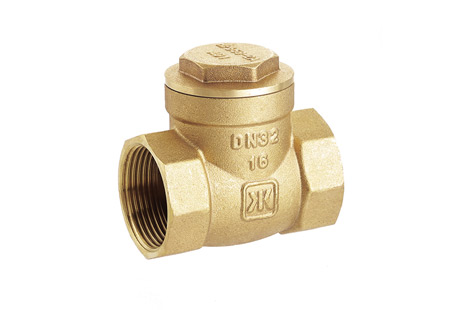 Brass Swing Check Valve